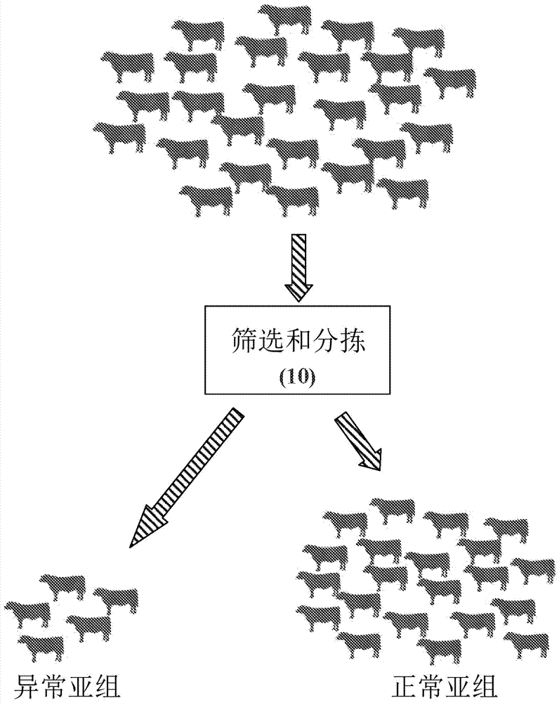 减少农场动物抗生素施用的方法和组合物与流程