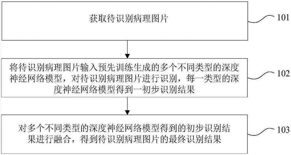 病理图片的识别方法及装置与流程