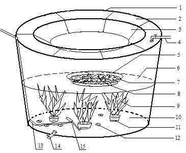 一种水蛭卵茧孵化幼蛭培育池的使用方法与流程