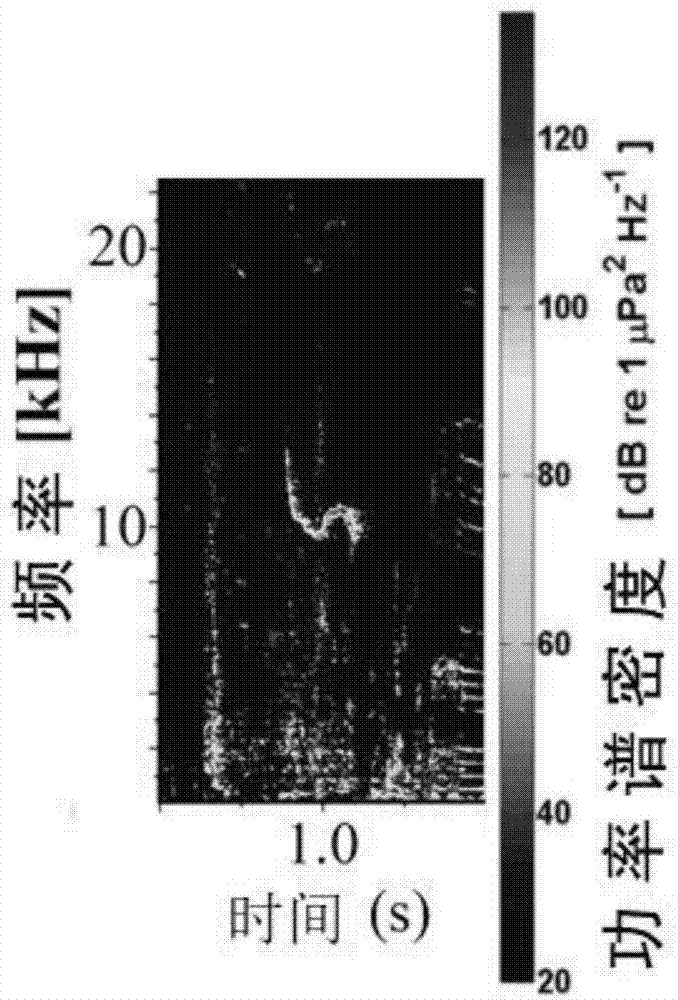 一种施工水域长江江豚声诱导保护装置及方法与流程