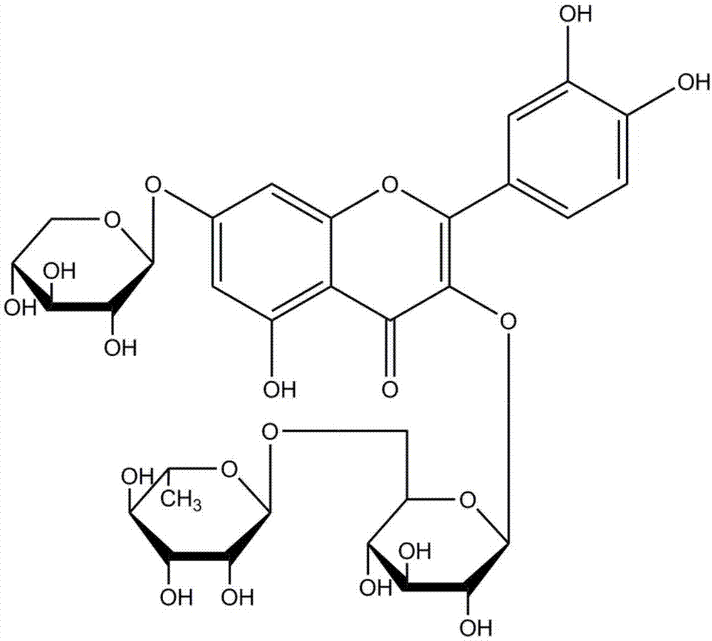 一种富含荔枝果肉多酚QRR口香糖及其制备方法与流程