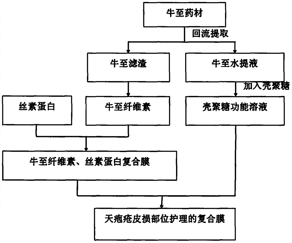 一种用于寻常型天疱疮皮损部位护理的复合膜的制作方法