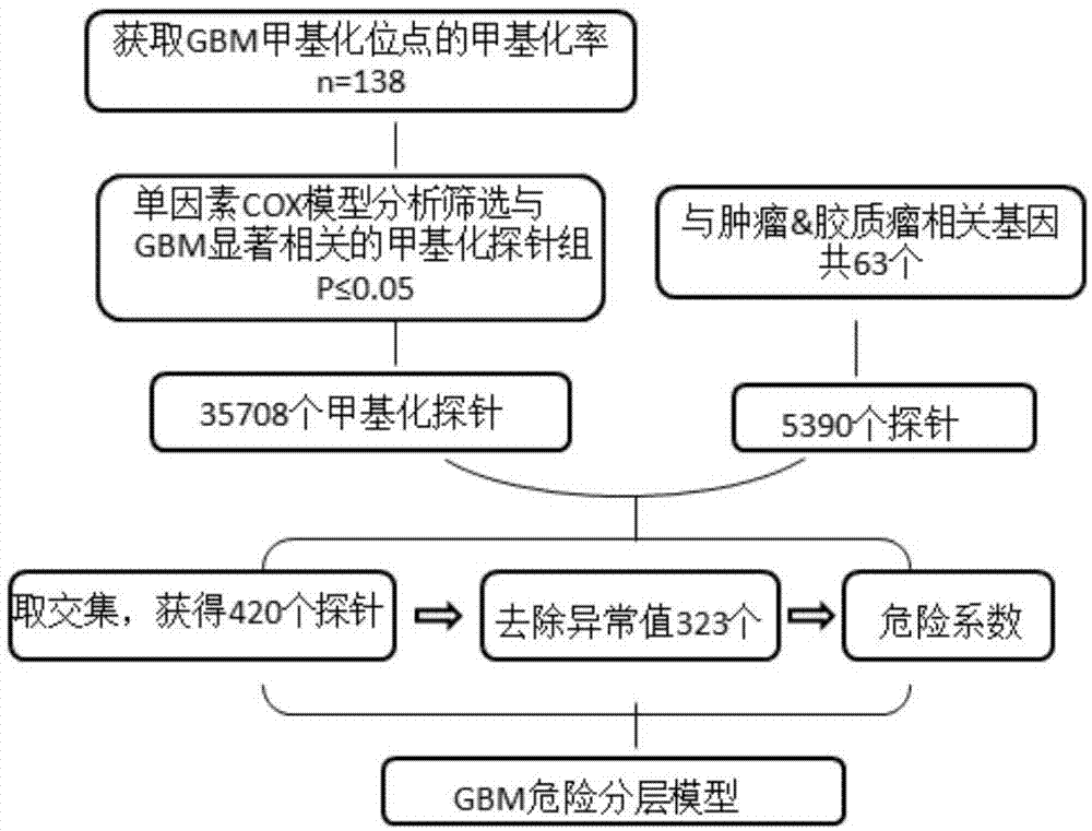 胶质母细胞瘤危险分层模型及其在临床预后评估的应用的制作方法