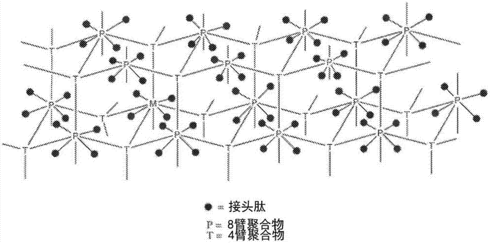 艾塞那肽类似物的缓释偶联物的制作方法