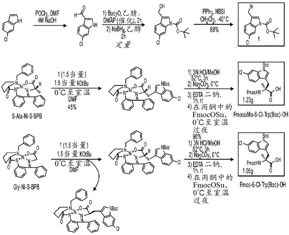 用于拟肽大环化合物的伴随诊断工具的制作方法