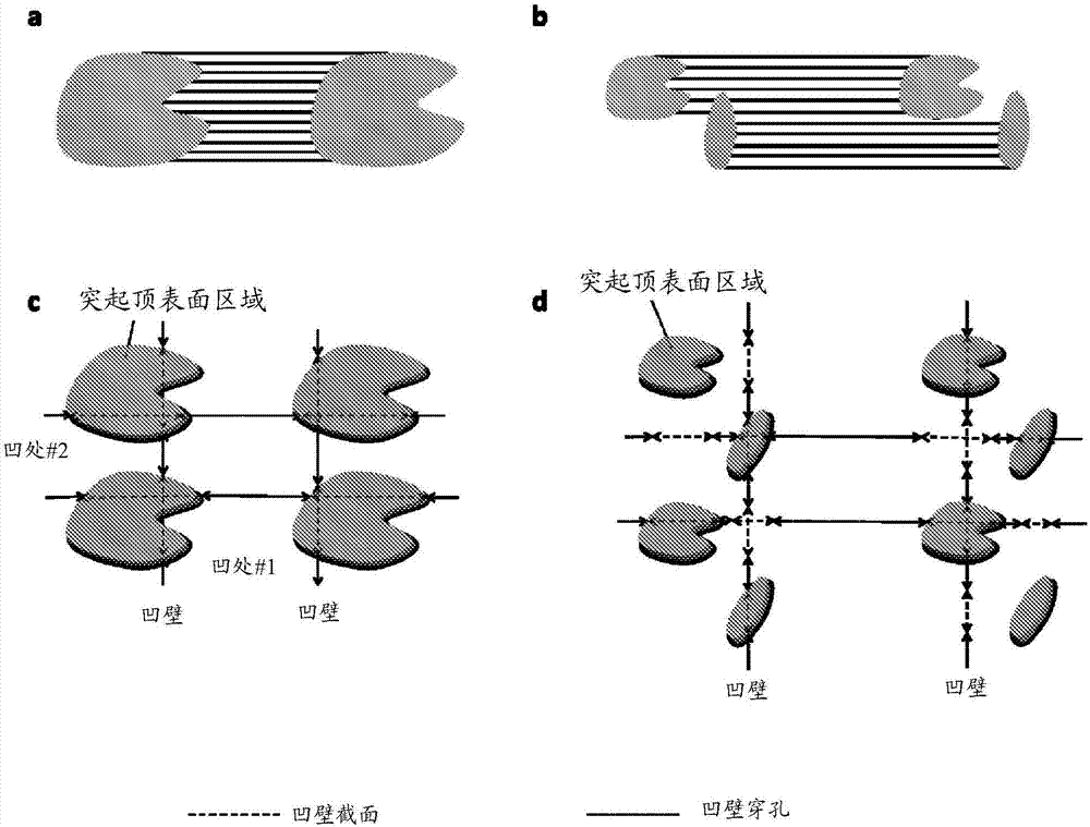 用于改变活细胞生理机能的表面形貌的制作方法