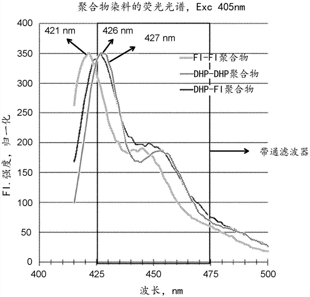 光敏大分子及其用途的制作方法