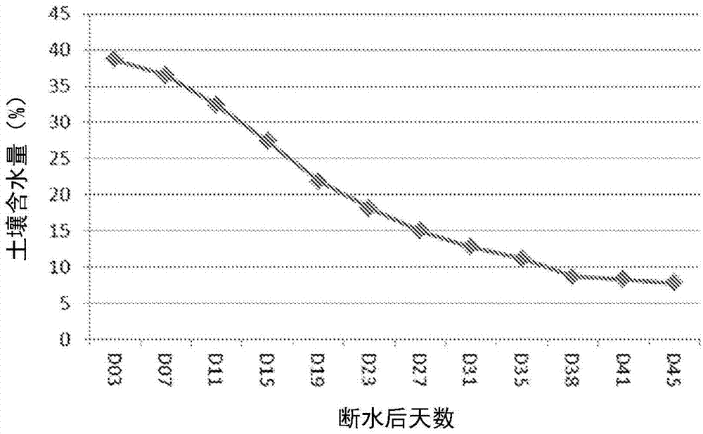 非生物胁迫耐性的植物和方法与流程