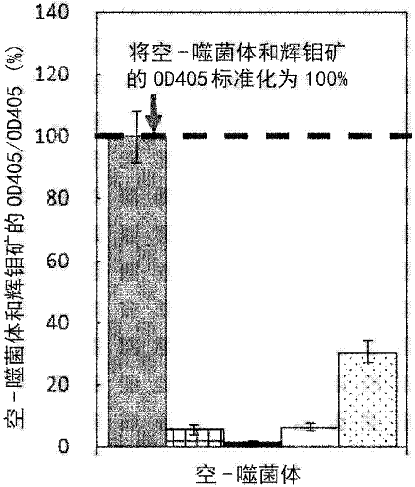 病毒组合物和利用其的用于分离的方法与流程