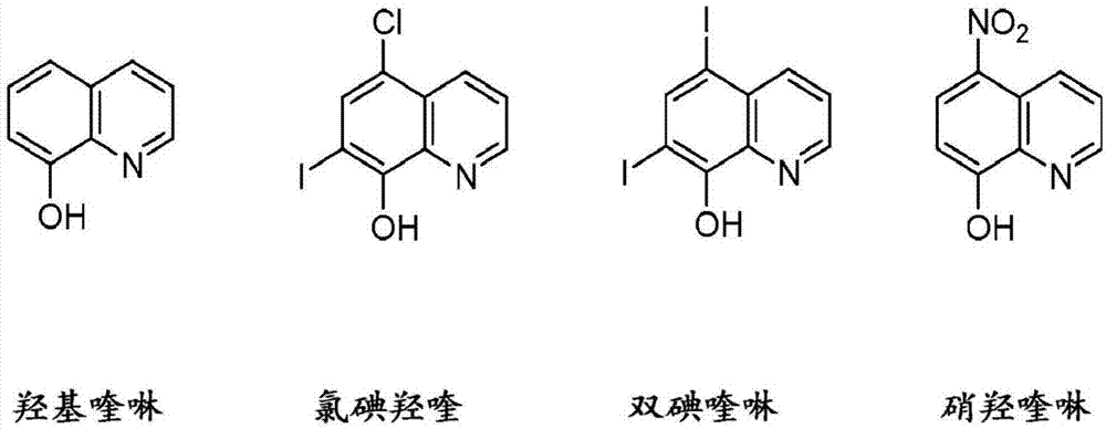 硝羟喹啉和其类似物与化学疗法和免疫疗法在癌症治疗中的组合用途的