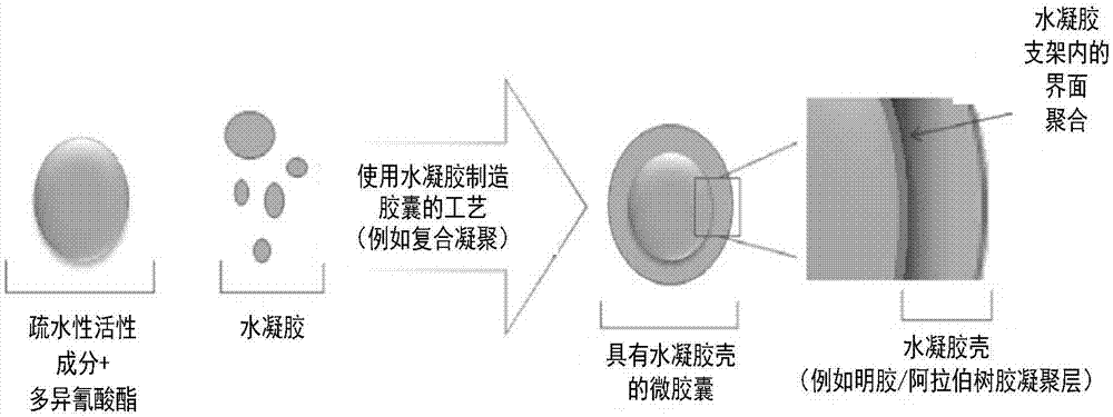 核-复合壳微胶囊的制作方法