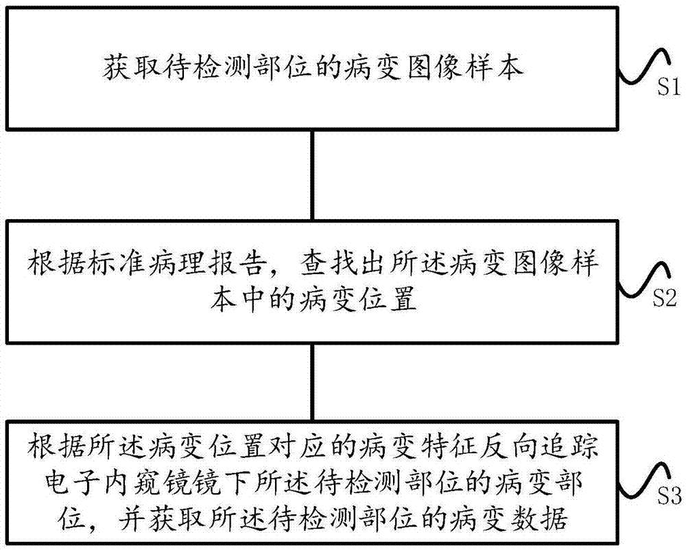 一种获取病变数据的方法、识别病变方法及计算机设备与流程