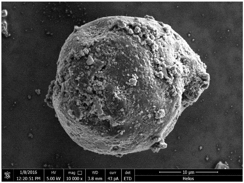 一种硅碳复合微球及其制备方法和应用与流程