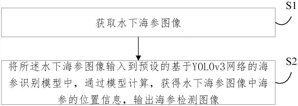 一种水下海参识别方法及系统与流程