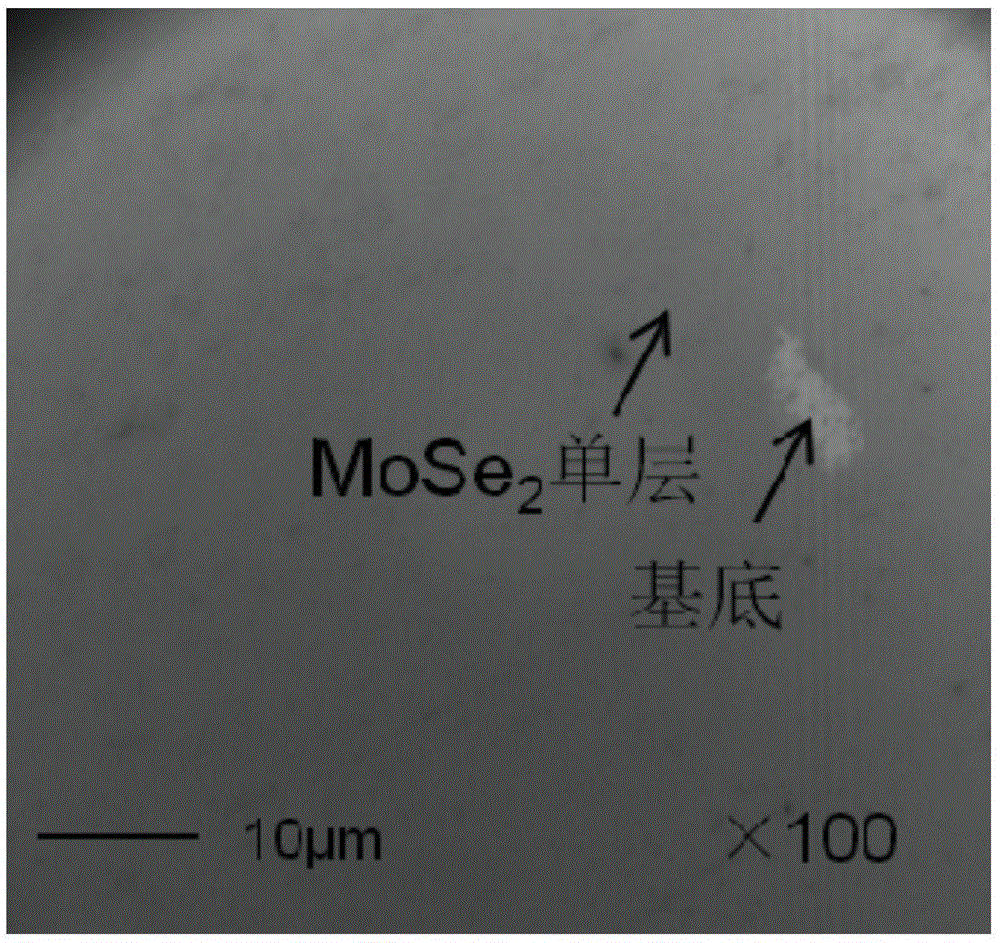 一种合成单层过渡金属硫族化合物的方法与流程