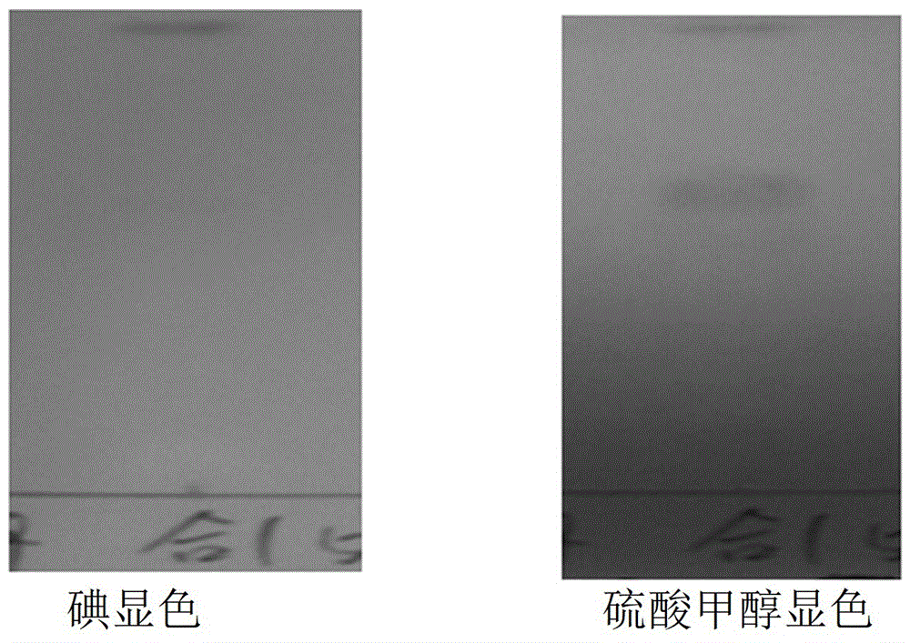 一种从螺旋藻中制备丁香酸的方法与流程