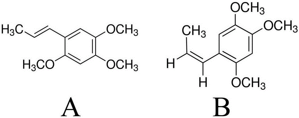 β-细辛醚在制备治疗或预防结直肠癌肝转移药物中的应用的制作方法