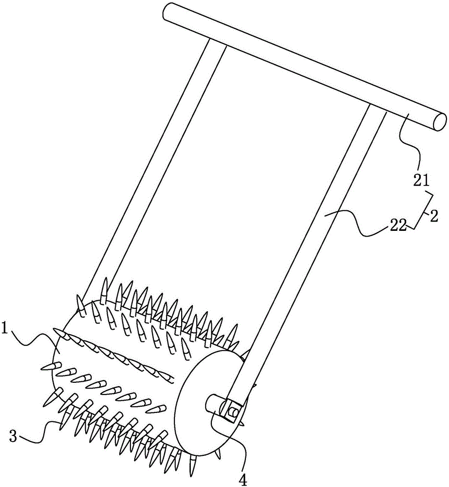 一种用于提高成活率并规整扦插的辅助工具的制作方法