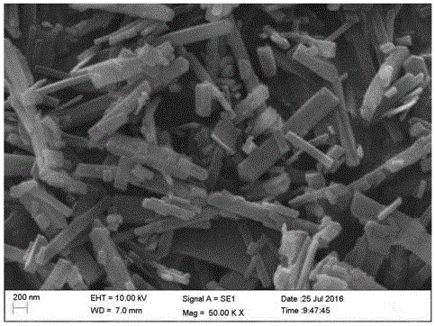 一种稀土掺杂纳米柠檬酸钙荧光粉及其制备方法与流程