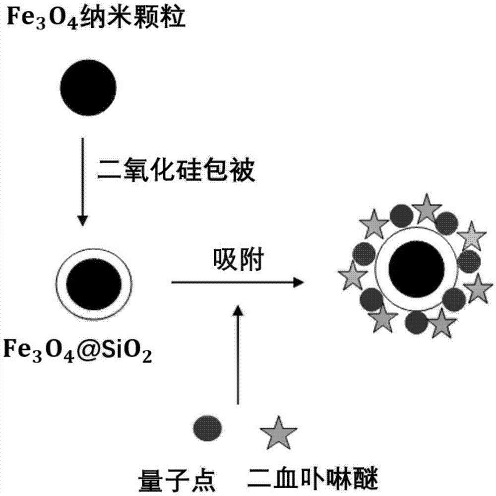 一种复合磁性纳米光敏剂的制备方法与流程