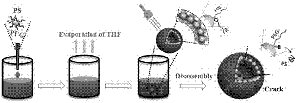 一种光控纳米粒子组装体及其制备方法与应用与流程
