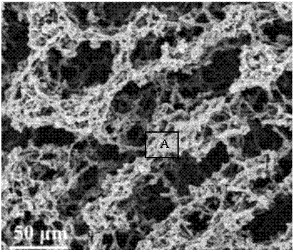 一种三维多级孔洞的石墨烯/聚吡咯复合材料的制备方法及其应用与流程