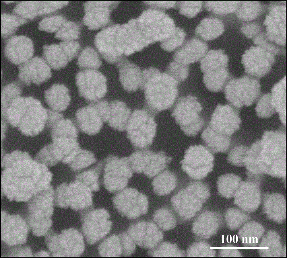 一种简便可控的仿生结构金纳米颗粒的制备方法与流程