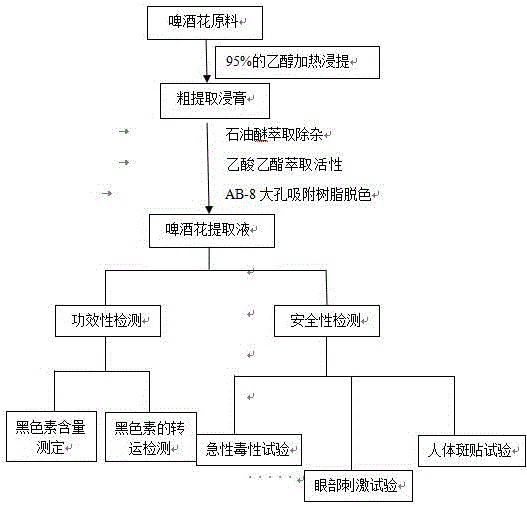 一种啤酒花美白提取液的制备方法与流程