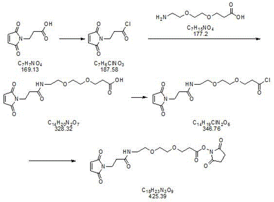 一种蛋白质交联剂马来酰亚胺-二聚乙二醇-丙烯酸琥珀酰亚胺酯的制备方法与流程