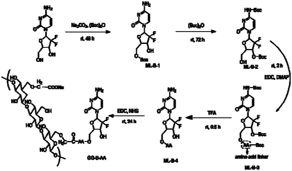 吉西他滨-羧甲基多糖共轭物,制备方法及其用途与流程