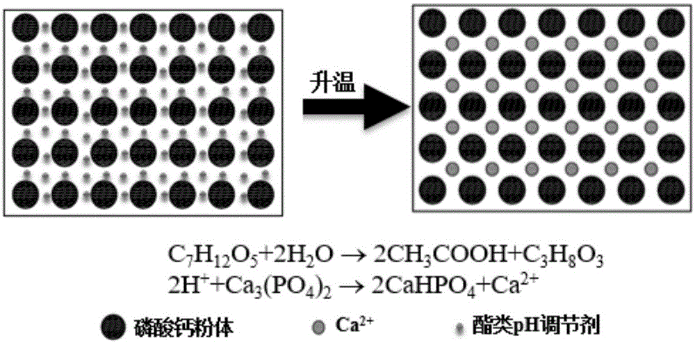 一种易去除磷酸钙陶瓷型芯的自固化近净成型方法与流程