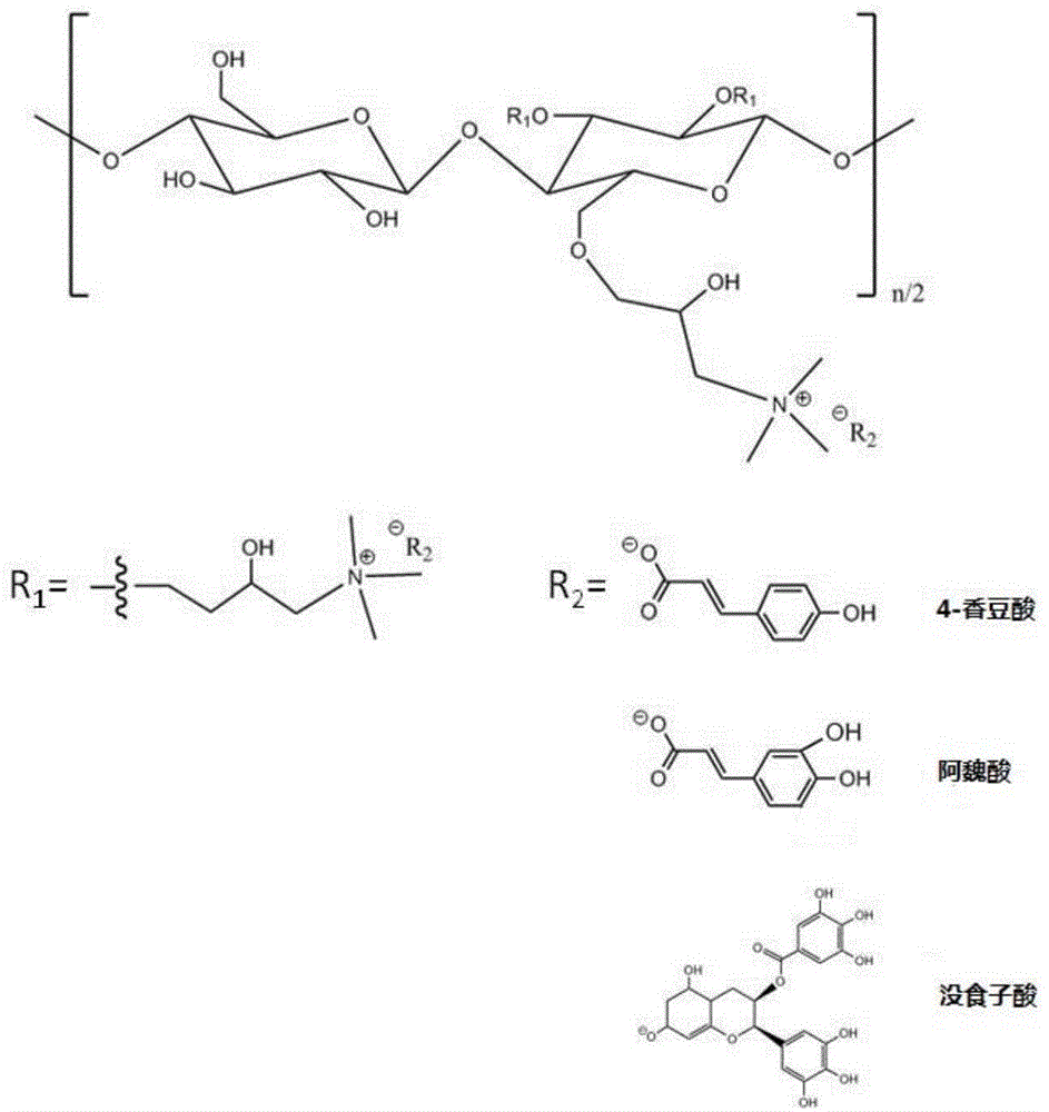 一种抑菌型阳离子纳纤化纤维素的制备方法与流程