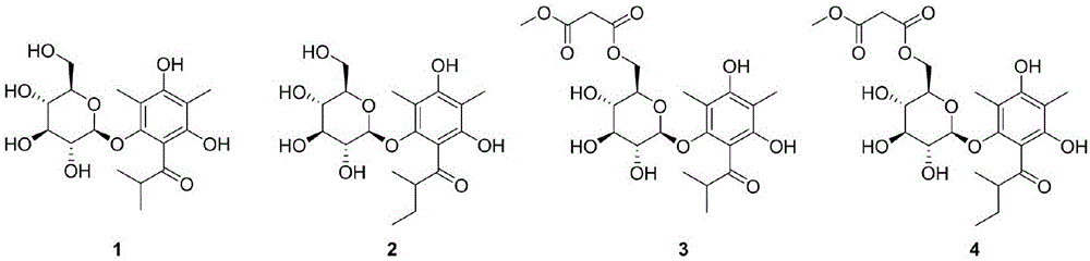 二甲基均苯三酚衍生物及其药物组合物和其应用的制作方法