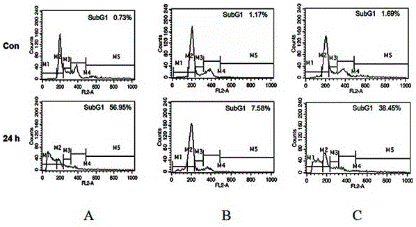 达玛烷皂苷元衍生物及其制备方法和应用与流程