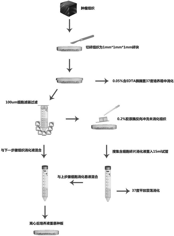 及宫颈鳞癌来源siha,caski,c4-1及c33a,相较与其他癌种细胞株,种类较