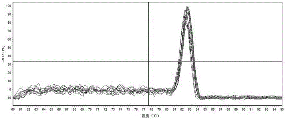 蝴蝶兰PP2A基因作为内参基因的应用的制作方法