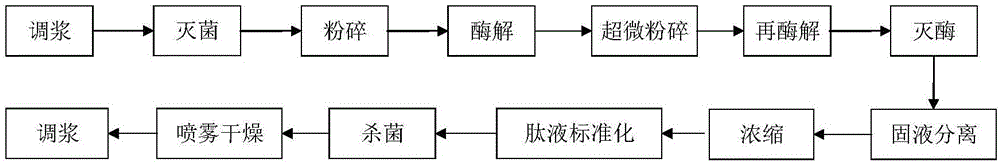 一种大米蛋白肽的制备方法及应用与流程