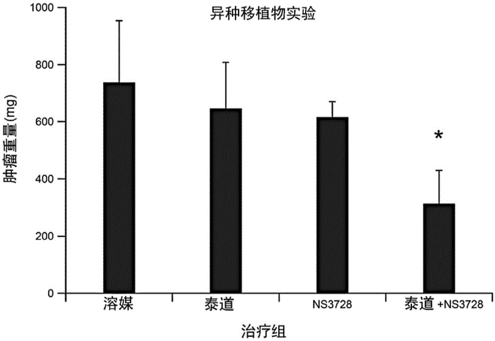 癌症的联合治疗的制作方法