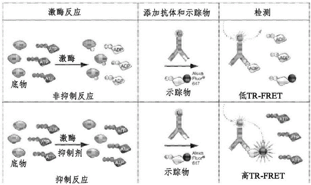 抑制PI3K的新型喹唑啉酮衍生物及含其的药物组合物的制作方法