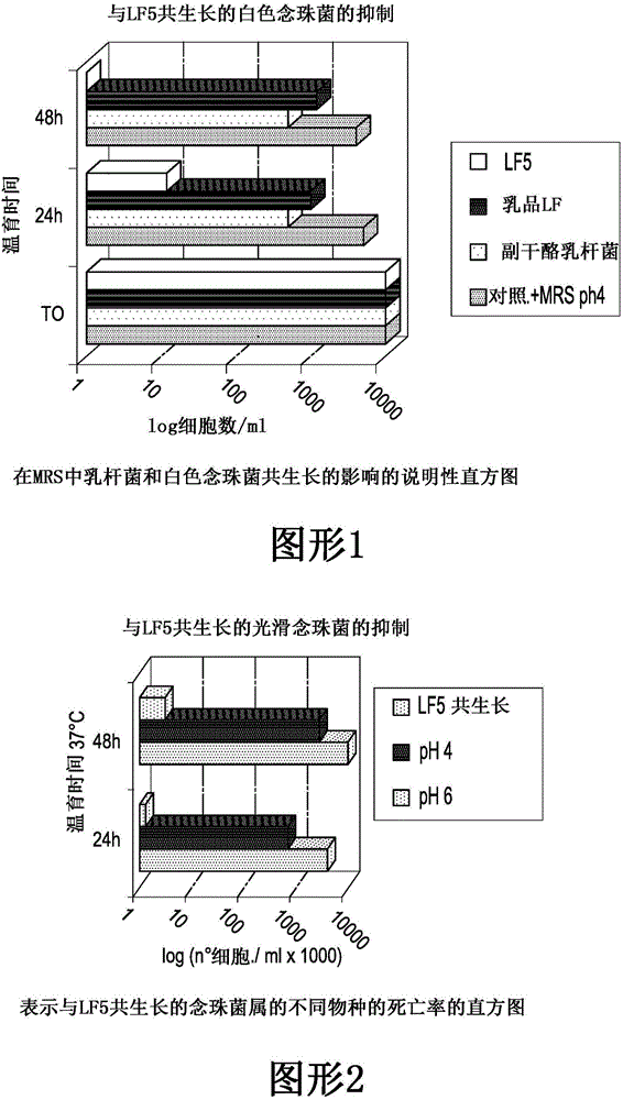 治疗由阴道加德纳氏菌导致的细菌性阴道感染和可能存在的并发真菌感染