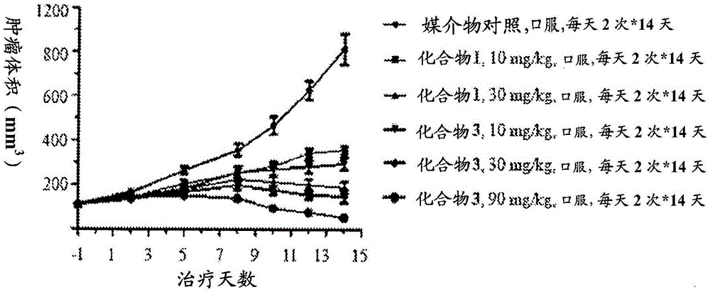 药物组合物及其用于治疗癌症和自身免疫疾病的用途的制作方法