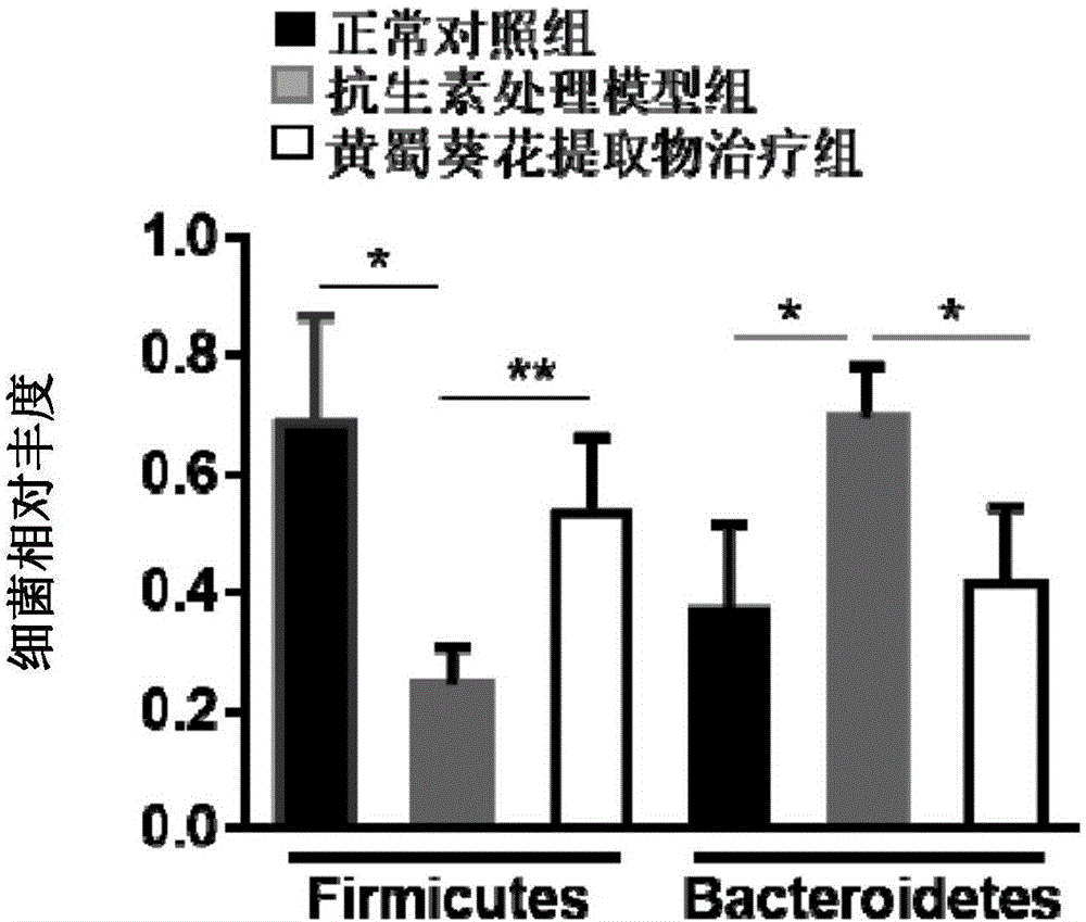 黄蜀葵花提取物在制备防治抗生素滥用引发的肠道菌群失调药物中的应用的制作方法