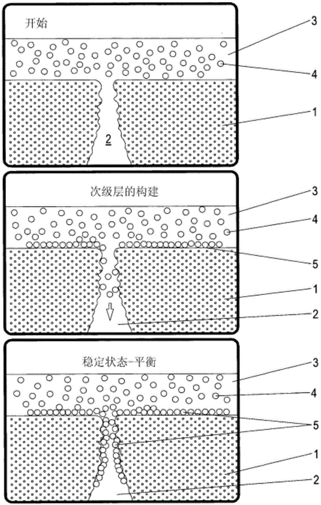 具有用于执行透析膜的调节的控制单元的透析仪的制作方法