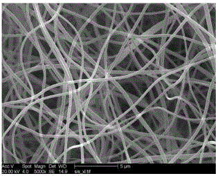 一种二硫化钼纳米片球/碳纳米纤维的制备及应用的制作方法