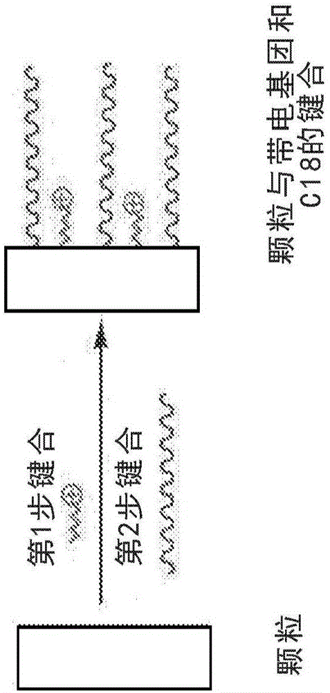 具有改性相的官能化颗粒的制作方法