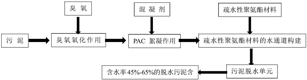 一种利用臭氧/混凝剂/疏水性聚氨酯改善污泥脱水性能的方法与流程