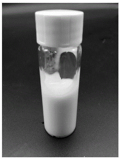 一种荷载反式白藜芦醇/苷的人造奶油替代物及其制备方法与流程