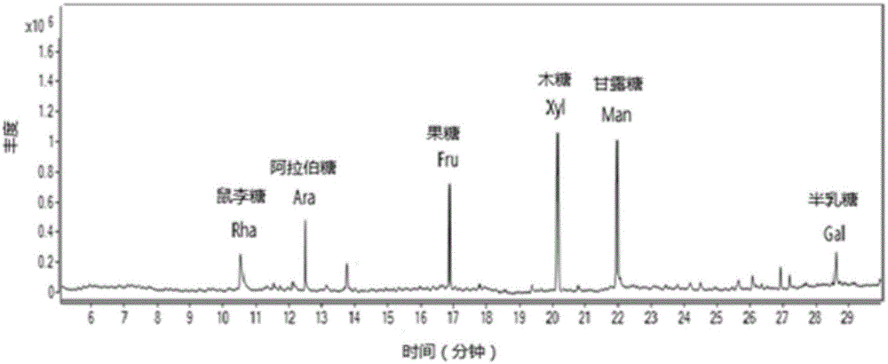 一种辣木根多糖MRP-1及其提取纯化方法以及应用与流程