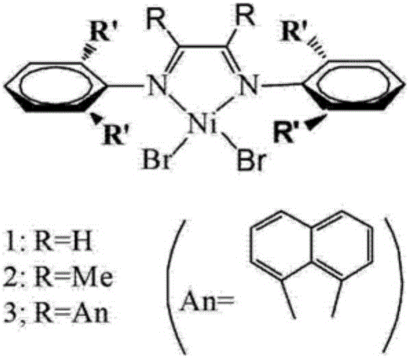 一种α-二亚胺镍烯烃聚合催化剂及其制备方法和应用与流程