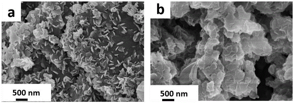 一种氧化石墨烯上生长碳纳米片矩阵衍生碳纳米复合材料的制备方法与流程